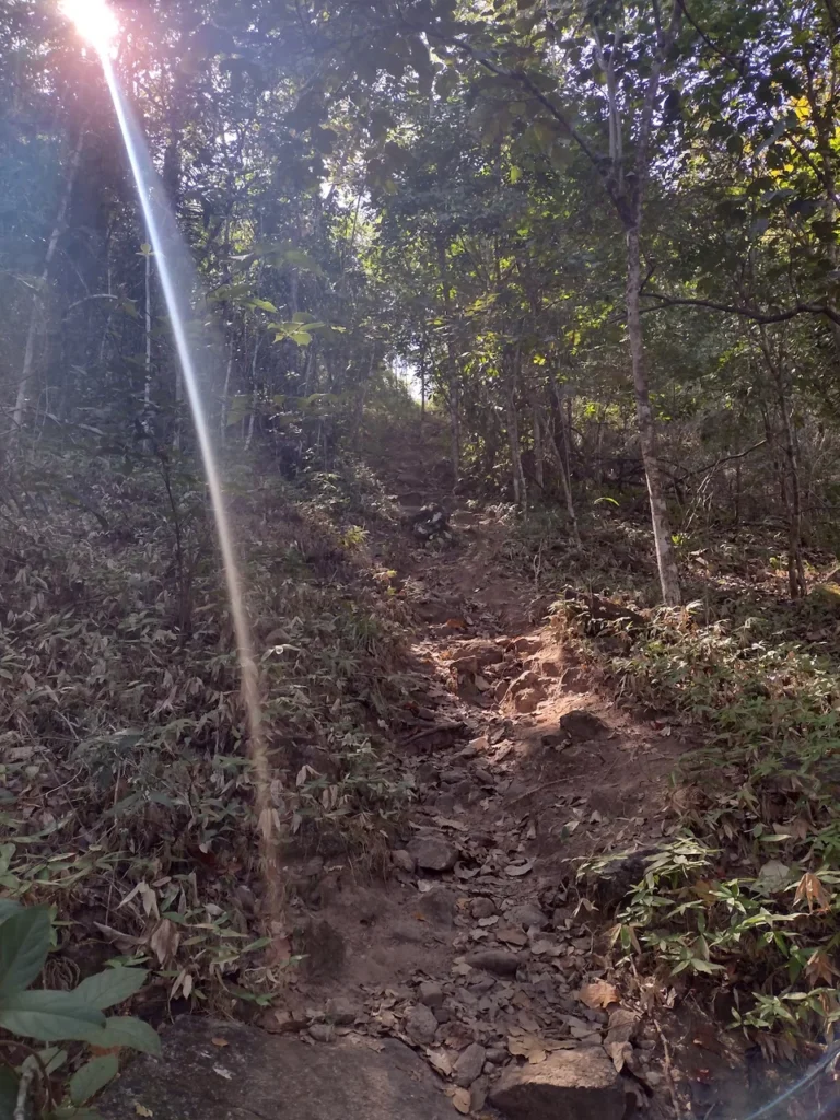 CACHOEIRA CHUVA DE PRATA