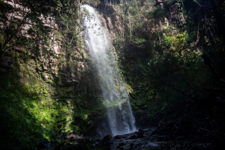CACHOEIRA CHUVA DE PRATA