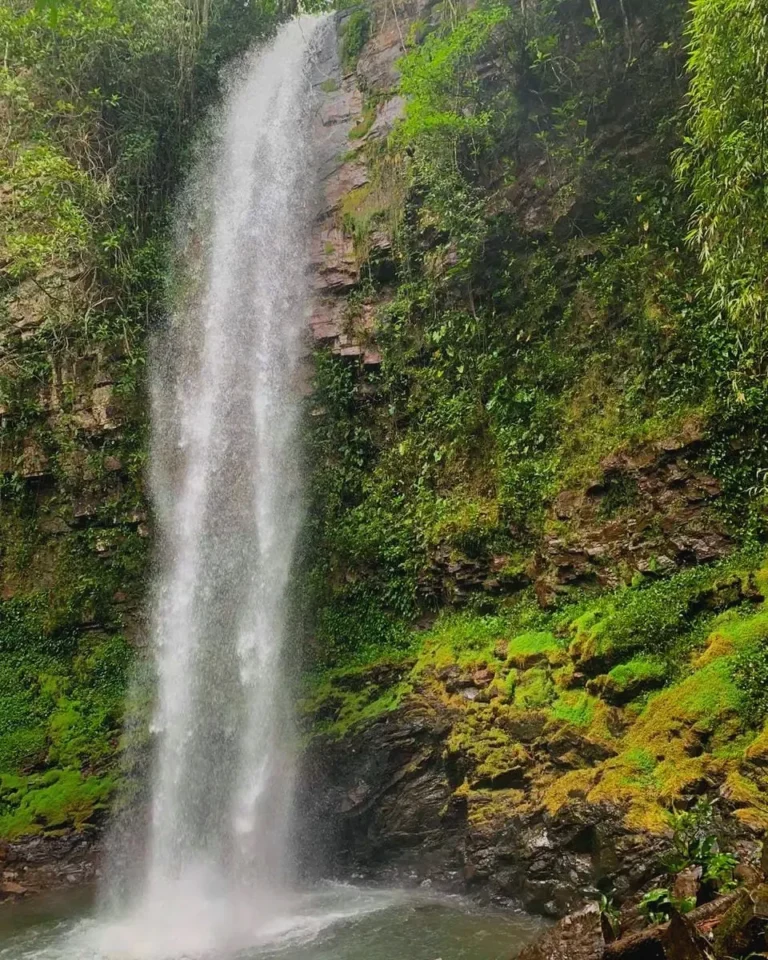 CACHOEIRA CHUVA DE PRATA