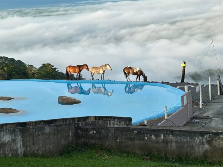Rampa Paraiso