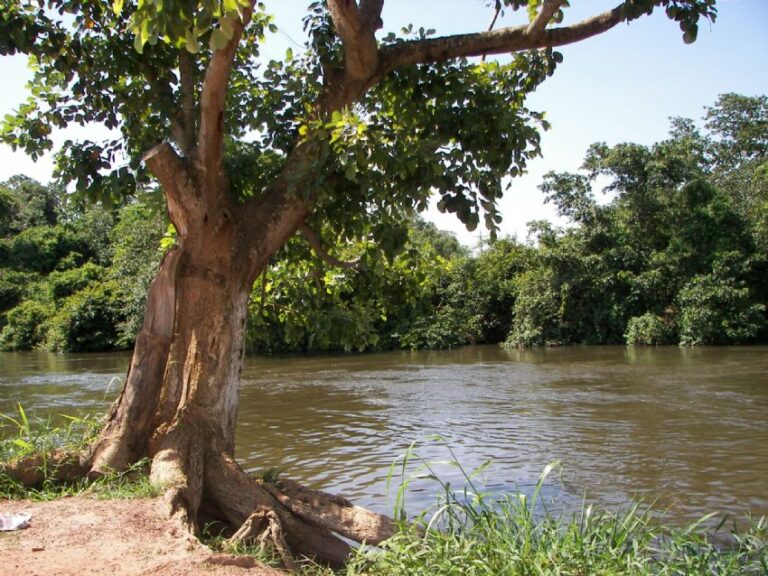 Rio Guaporé