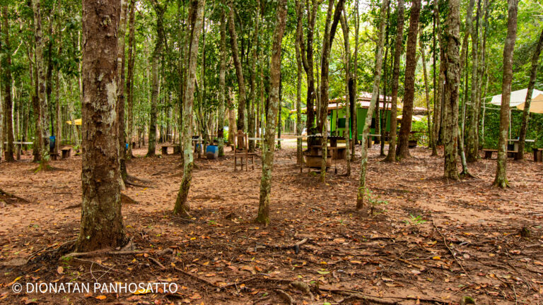 Balneário Rio Juína