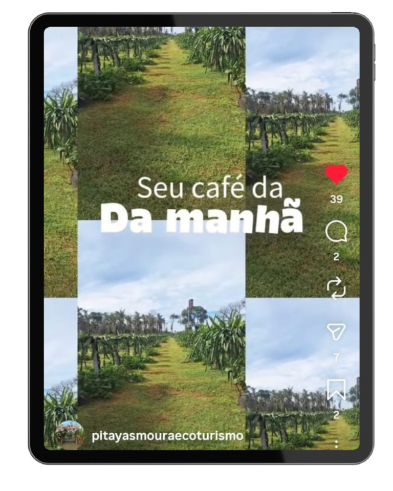 Design-sem-nome-3